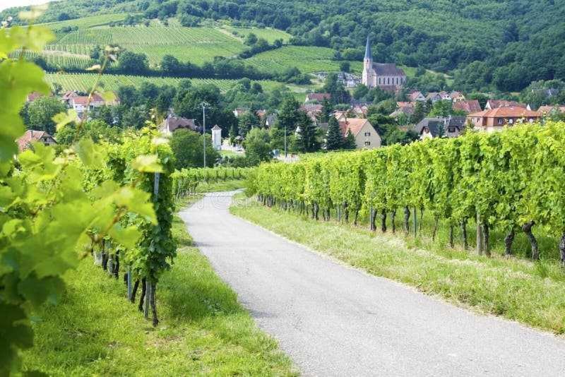 Appartement Avec Terrasse Entre Vignes, Balades, Alsace Guebwiller Luaran gambar